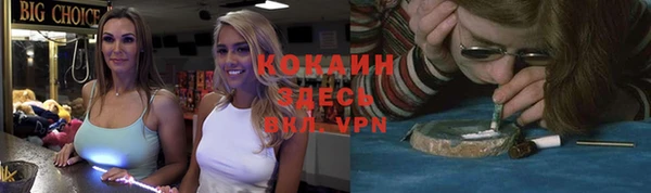 гидра Белоозёрский