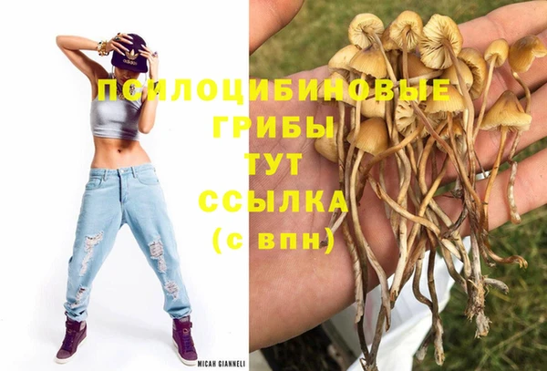 гидра Белоозёрский