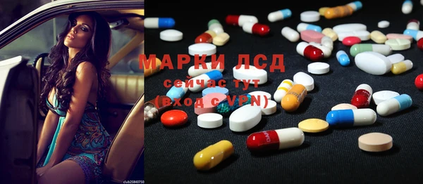 мяу мяу мука Белокуриха