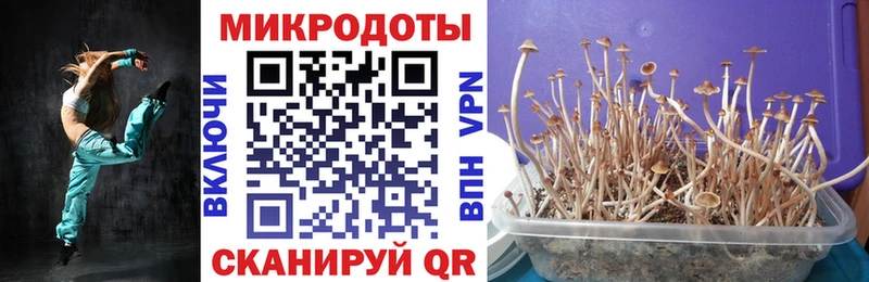 Галлюциногенные грибы ЛСД  Болотное 